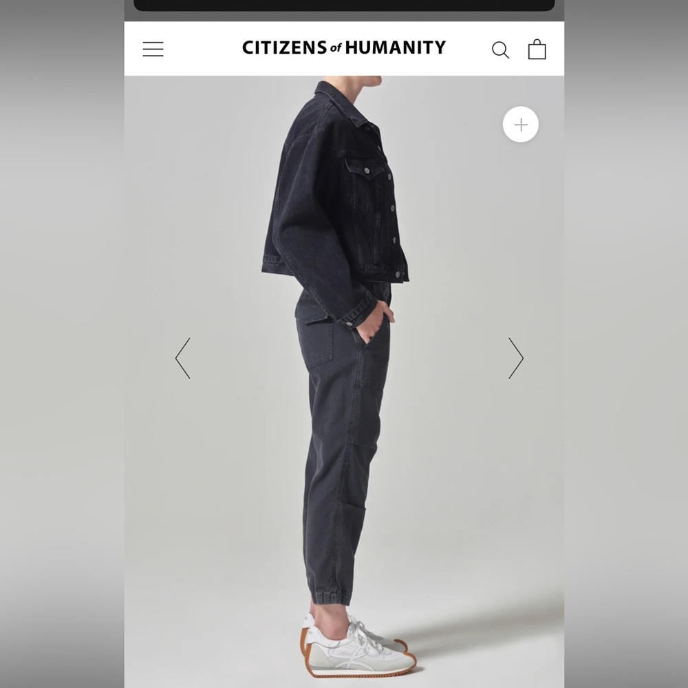 Citizens of Humanity pants